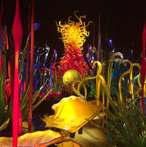 Meet your Posher, Alicia